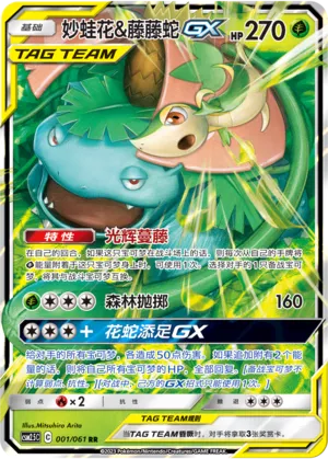 Venusaur & Snivy-GX 001 — Striking Competition (Chinese Pokémon TCG card)