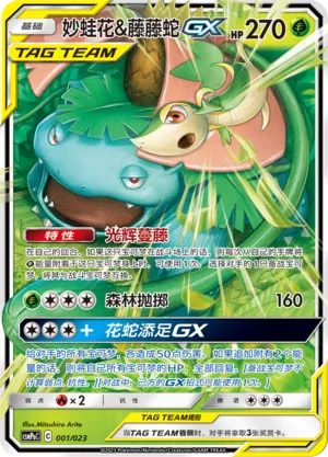 Venusaur & Snivy Pokémon TCG cards