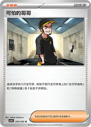 Ruffian 205 — Chasing Glory (Simplified) (Chinese Pokémon TCG card)
