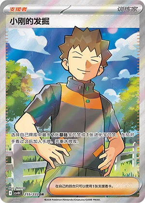 Brock's Scouting 255/222 — Chasing Glory (Simplified) (Chinese Pokémon TCG card)