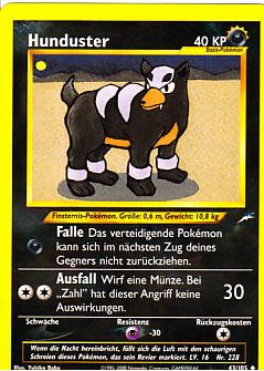 Hunduster 43 — Neo Destiny (German Pokémon TCG card)