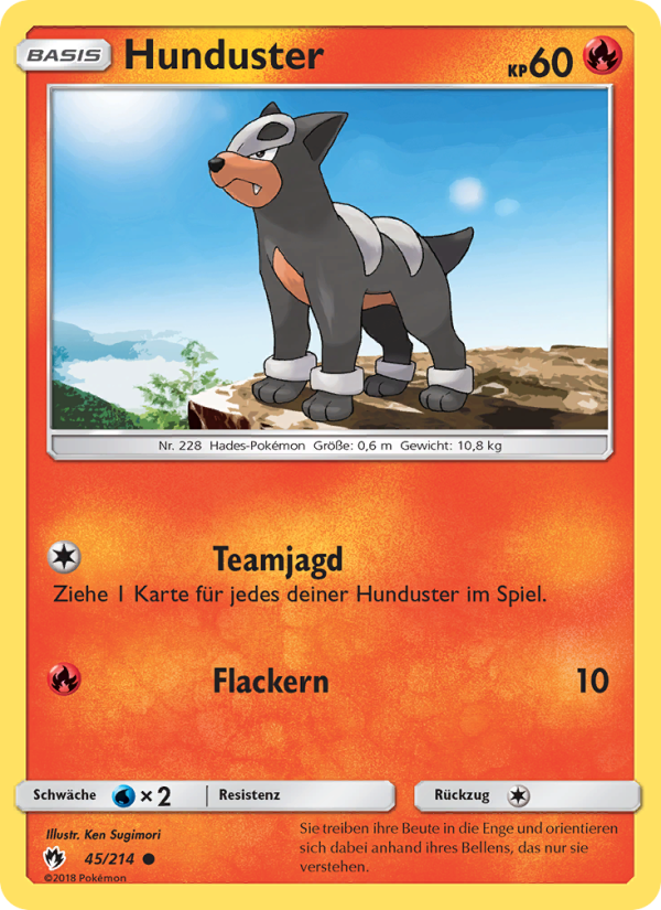 Hunduster 45 — Echo des Donners (German Pokémon TCG card)