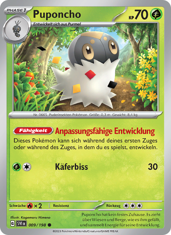 Puponcho Pokémon TCG cards