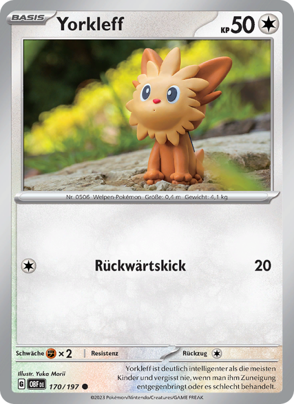 Yorkleff Pokémon TCG cards