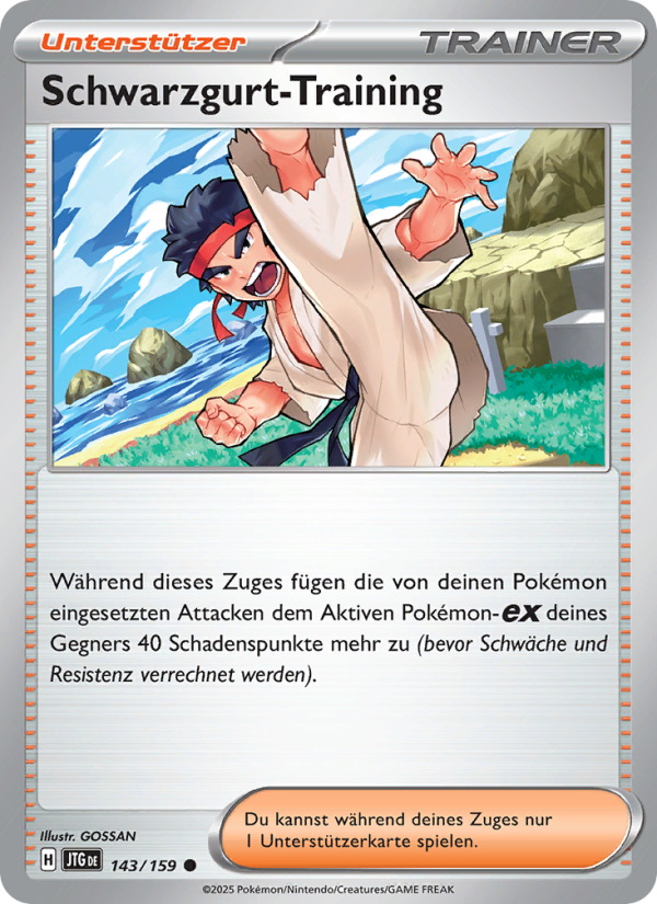 Schwarzgurt-Training 143 — Reisegefährten (German Pokémon TCG card)