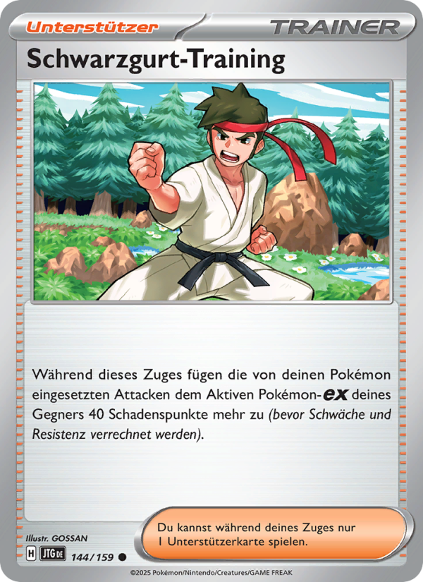 Schwarzgurt-Training 144 — Reisegefährten (German Pokémon TCG card)