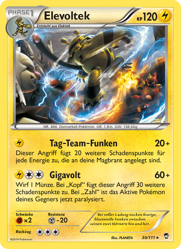 Elevoltek 30 — Fliegende Fäuste (German Pokémon TCG card)