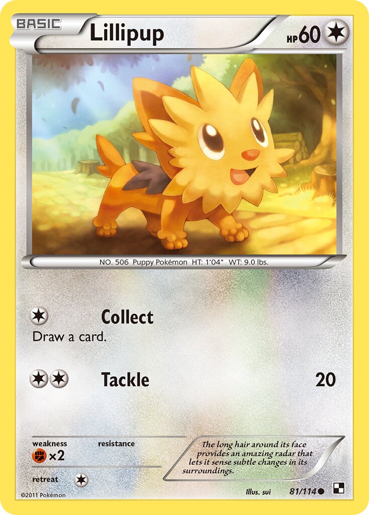 Lillipup 081/115 — Black & White (English Pokémon TCG card)