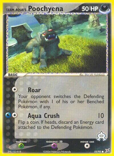 Team Aqua's Poochyena 055/97 — EX Team Magma vs Team Aqua (English Pokémon TCG card)