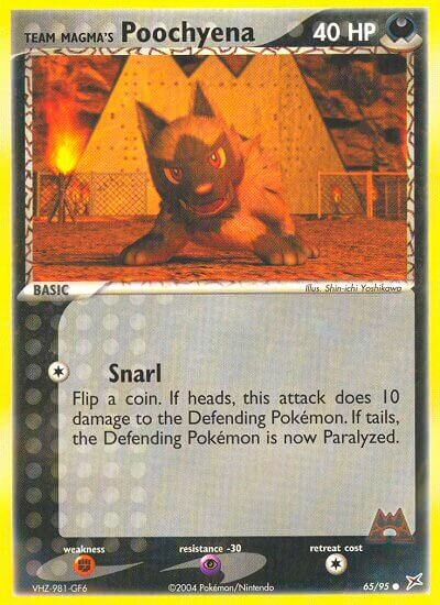 Team Magma's Poochyena 065/97 — EX Team Magma vs Team Aqua (English Pokémon TCG card)