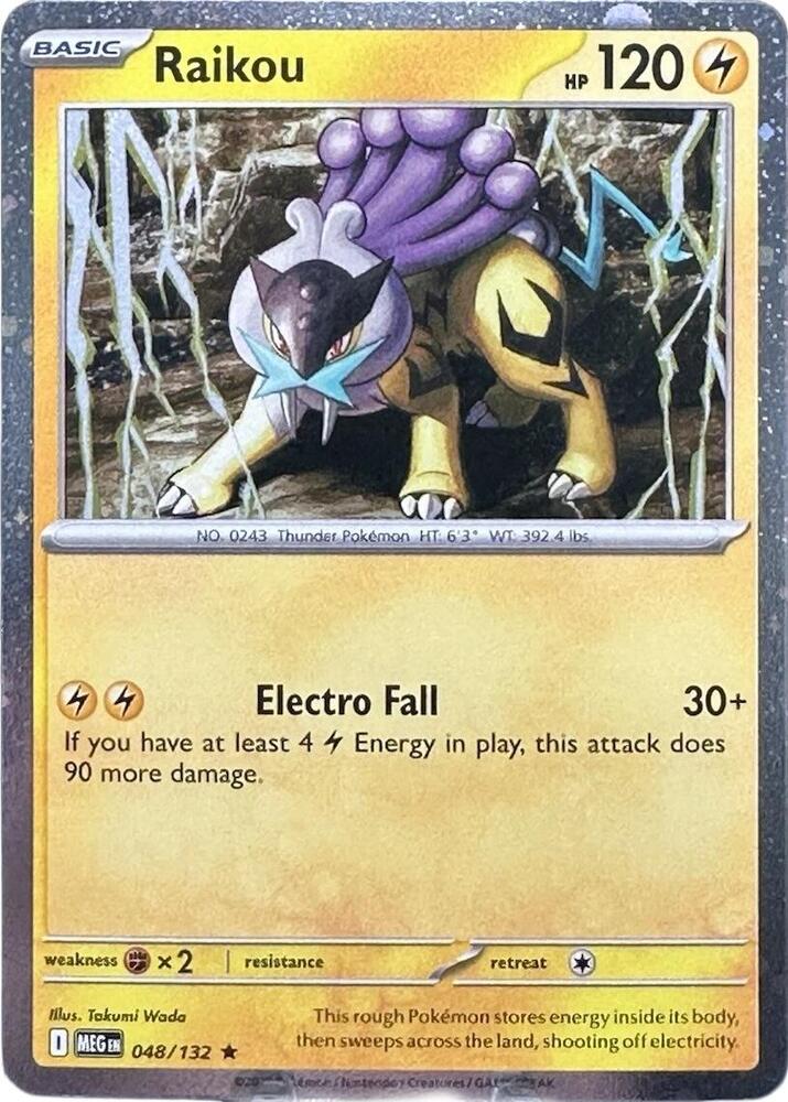 Raikou 048/132 — Miscellaneous Cards & Products (English Pokémon TCG card)