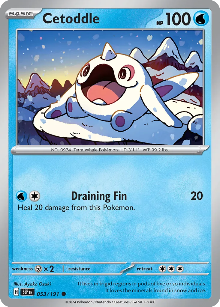 Cetoddle 053/252 — Surging Sparks (English Pokémon TCG card)
