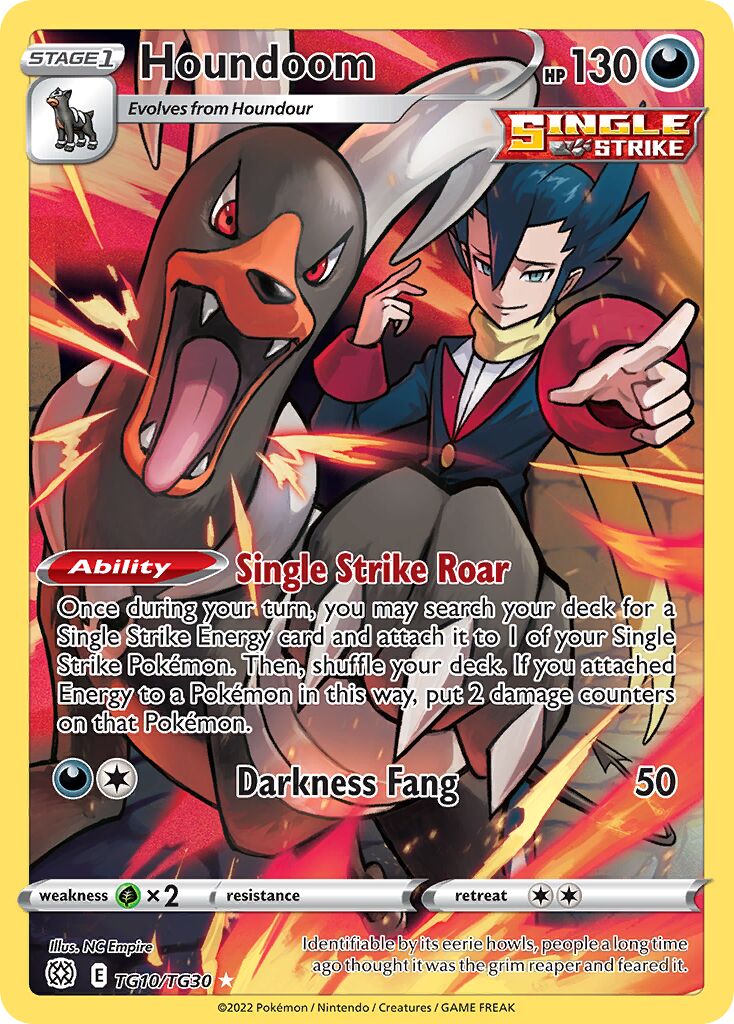 Houndoom 010/30 — Brilliant Stars (Trainer Gallery) (English Pokémon TCG card)