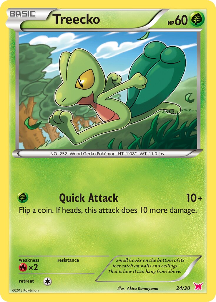 Treecko 024/30 — XY trainer Kit (Latias) (English Pokémon TCG card)