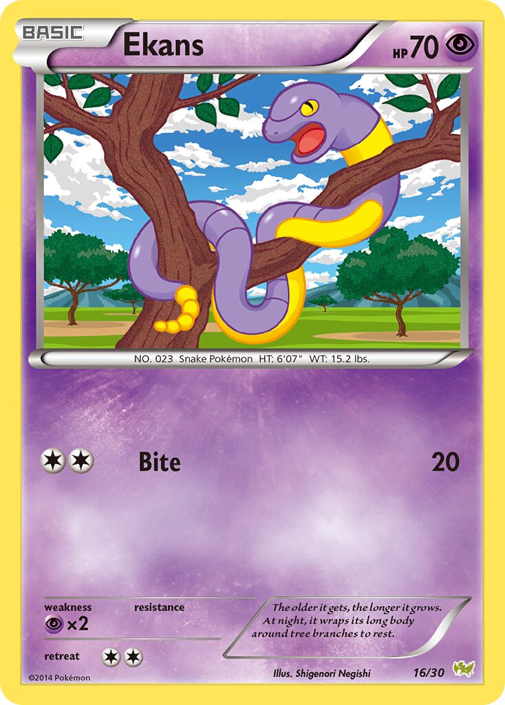 Ekans 016/30 — XY trainer Kit (Noivern) (English Pokémon TCG card)
