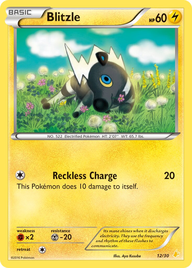 Blitzle 012/30 — XY trainer Kit (Pikachu Libre) (English Pokémon TCG card)