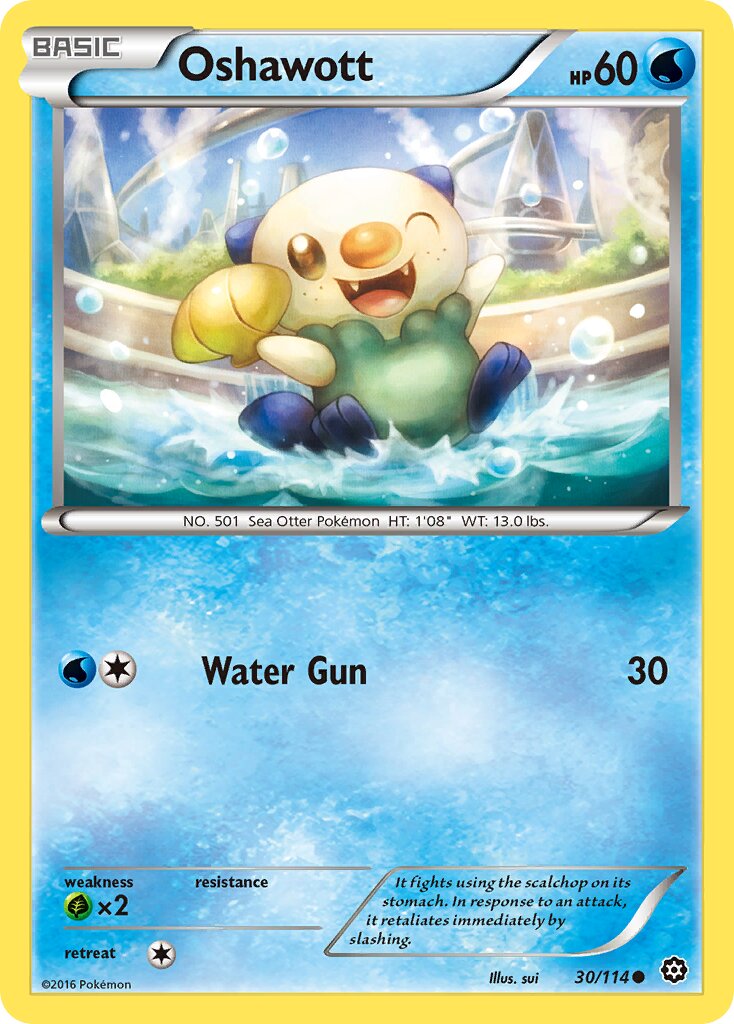 Oshawott 030/116 — Steam Siege (English Pokémon TCG card)