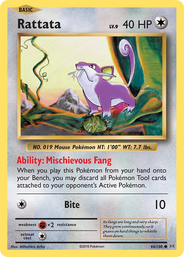 Rattata 066/113 — Evolutions (English Pokémon TCG card)