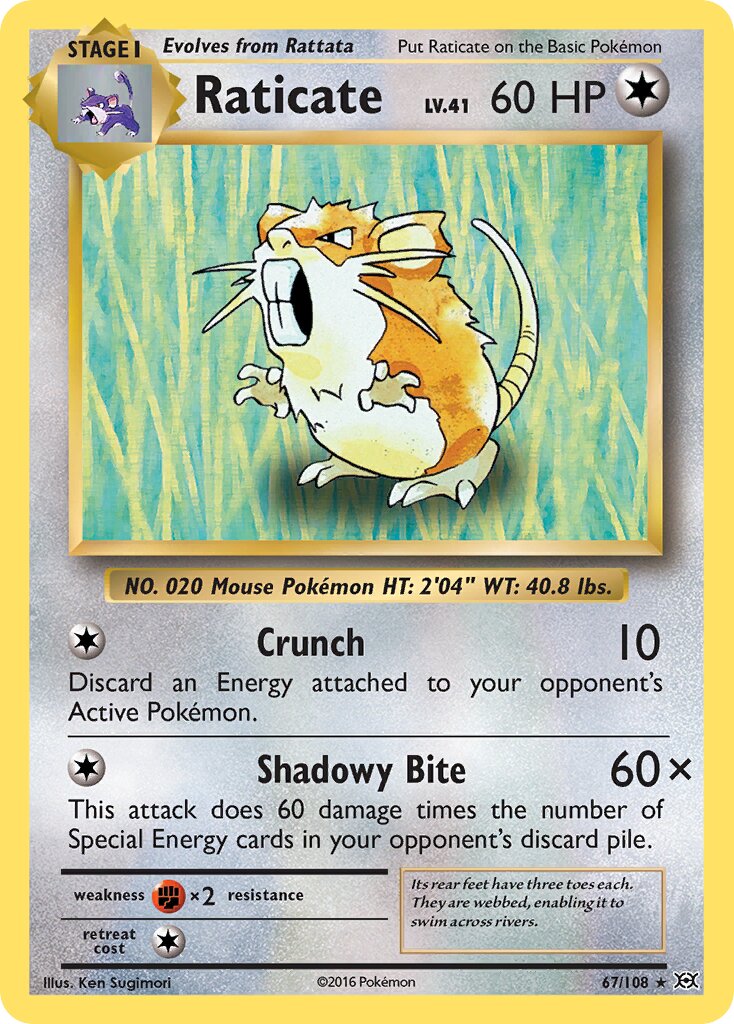Raticate 067/113 — Evolutions (English Pokémon TCG card)