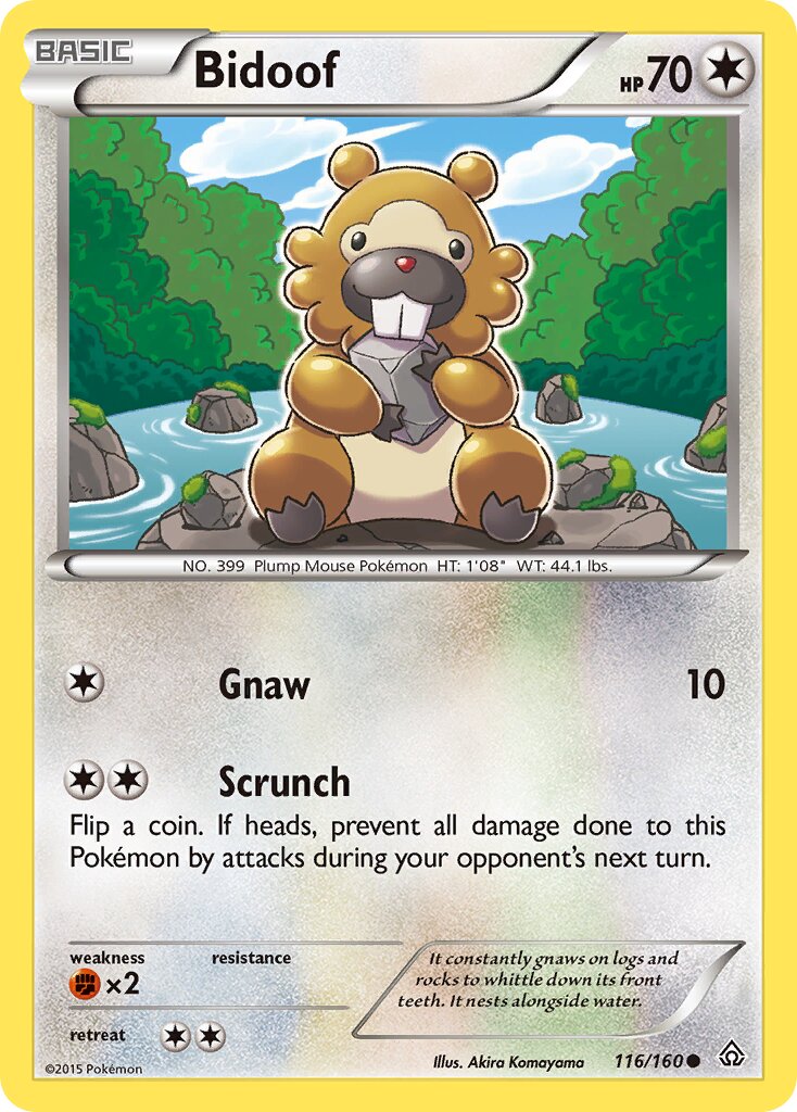 Bidoof 116/164 — Primal Clash (English Pokémon TCG card)