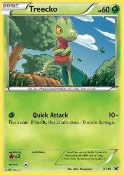 Treecko XY36 — XY Promos (English Pokémon TCG card)