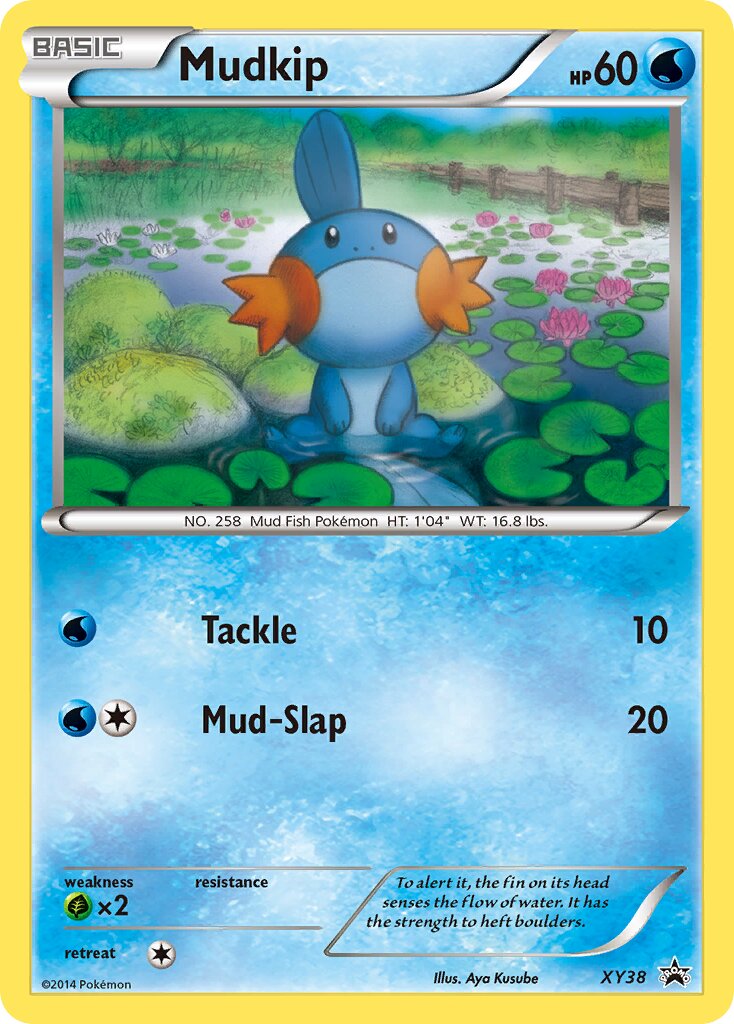 Mudkip XY38 — XY Promos (English Pokémon TCG card)