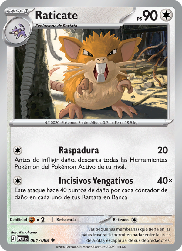 Raticate 061 — Equilibrio Perfecto (Spanish Pokémon TCG card)