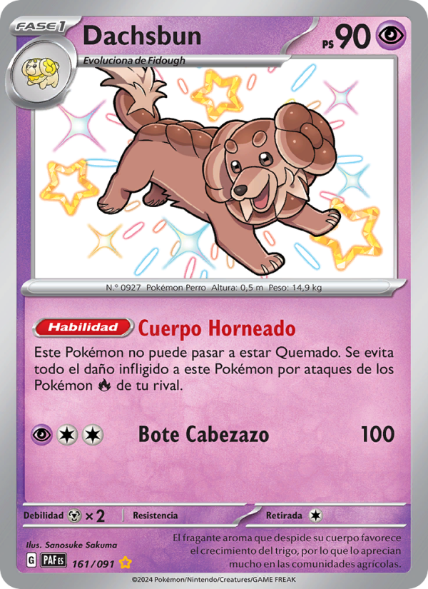 Dachsbun 161 — Destinos de Paldea (Spanish Pokémon TCG card)