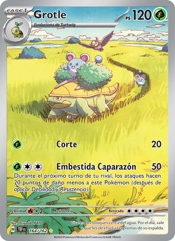 Grotle 164 — Fuerzas Temporales (Spanish Pokémon TCG card)
