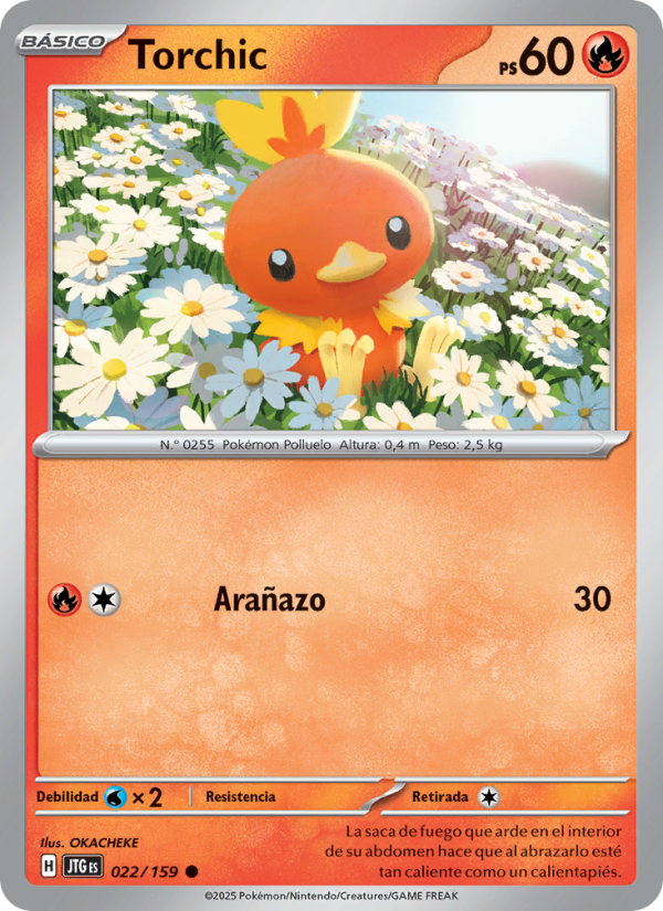 Torchic 022 — Juntos de Aventuras (Spanish Pokémon TCG card)