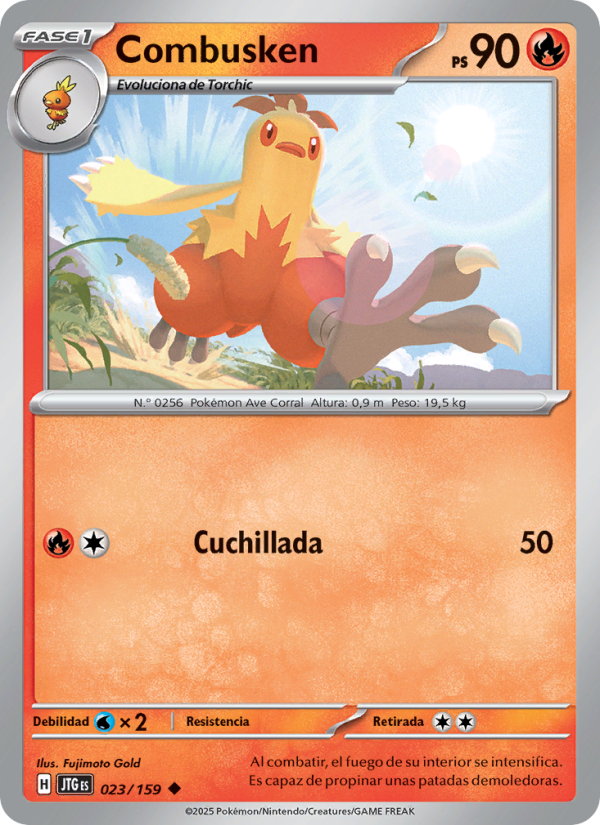 Combusken 023 — Juntos de Aventuras (Spanish Pokémon TCG card)