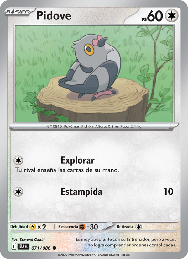 Pidove 071 — Fulgor Negro (Spanish Pokémon TCG card)
