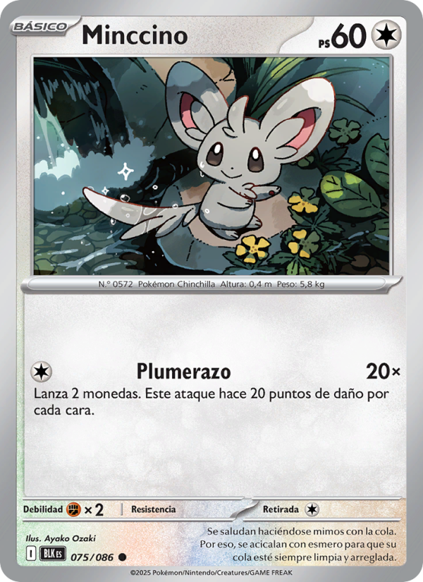 Minccino 075 — Fulgor Negro (Spanish Pokémon TCG card)