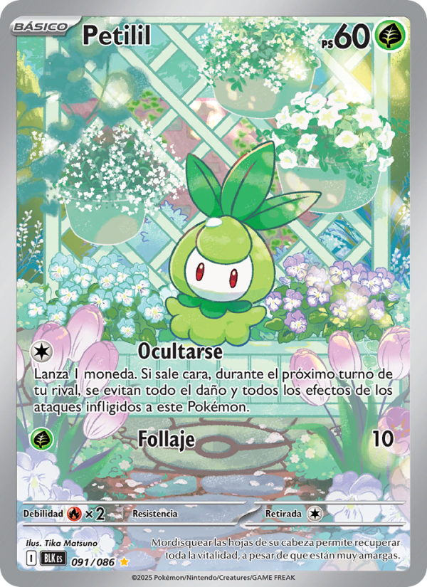 Petilil 091 — Fulgor Negro (Spanish Pokémon TCG card)