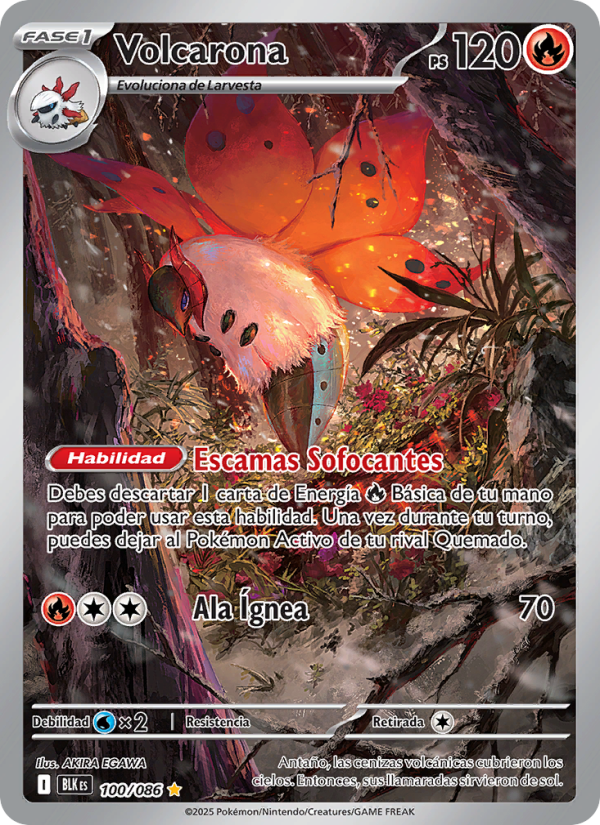 Volcarona 100 — Fulgor Negro (Spanish Pokémon TCG card)
