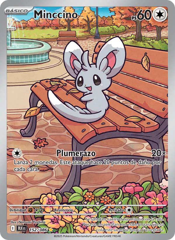Minccino 152 — Fulgor Negro (Spanish Pokémon TCG card)