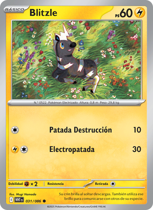 Blitzle 031 — Llama Blanca (Spanish Pokémon TCG card)