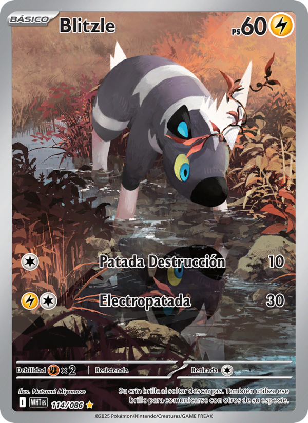 Blitzle 114 — Llama Blanca (Spanish Pokémon TCG card)