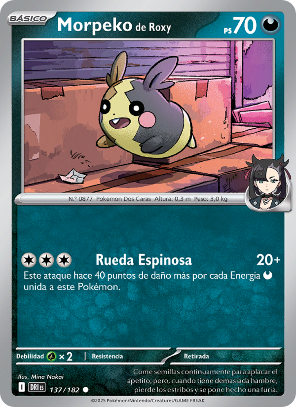 Morpeko de Roxy 137 — Rivales Predestinados (Spanish Pokémon TCG card)