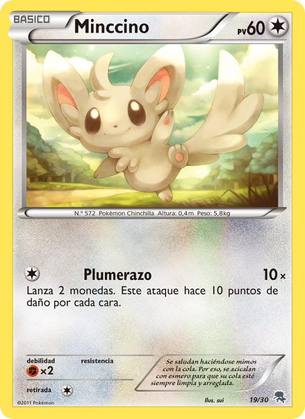 Minccino 19 — Kit de Entrenador XY (Pikachu Enmascarada) (Spanish Pokémon TCG card)