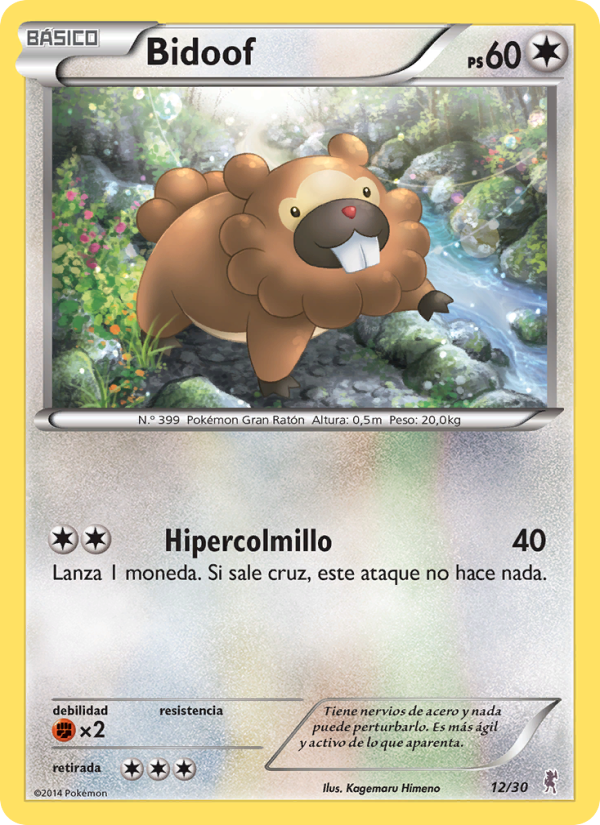 Bidoof 12 — Kit de Entrenador XY (Bisharp) (Spanish Pokémon TCG card)