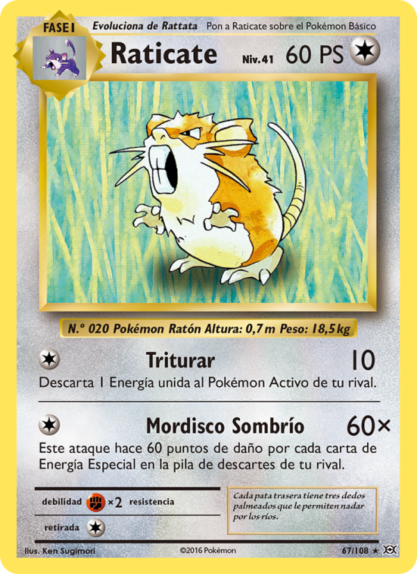 Raticate 67 — Evoluciones (Spanish Pokémon TCG card)