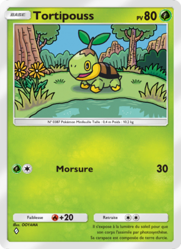 Tortipouss 010 — Choc Spatio-Temporel (French Pokémon TCG card)