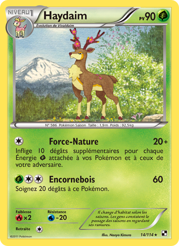 Haydaim 14 — Noir & Blanc (French Pokémon TCG card)