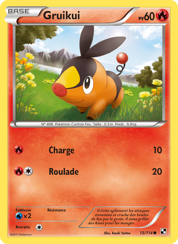 Gruikui 15 — Noir & Blanc (French Pokémon TCG card)