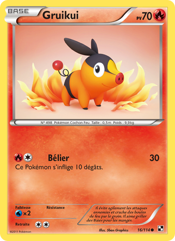 Gruikui 16 — Noir & Blanc (French Pokémon TCG card)