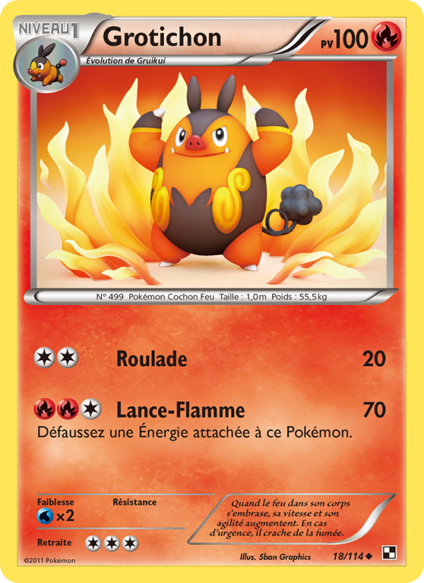 Grotichon 18 — Noir & Blanc (French Pokémon TCG card)