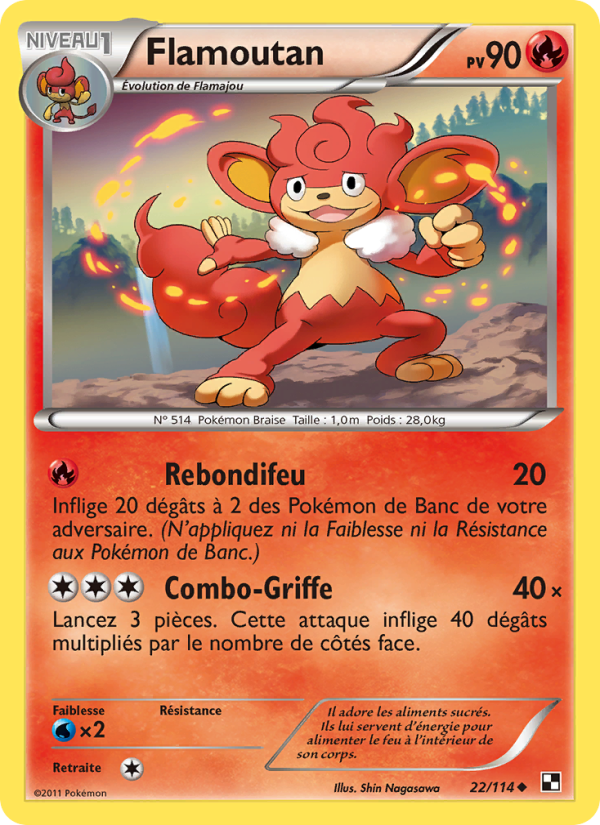Flamoutan 22 — Noir & Blanc (French Pokémon TCG card)