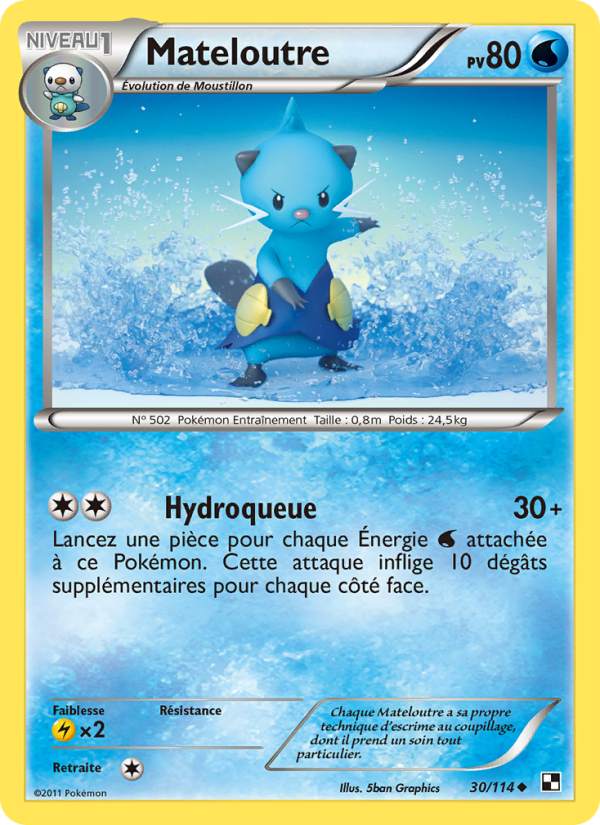 Mateloutre 30 — Noir & Blanc (French Pokémon TCG card)