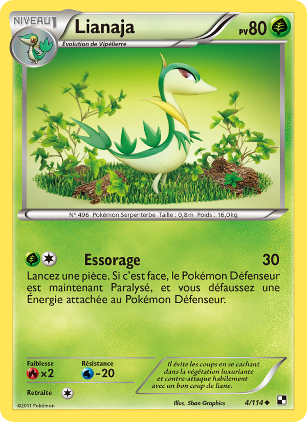 Lianaja 4 — Noir & Blanc (French Pokémon TCG card)